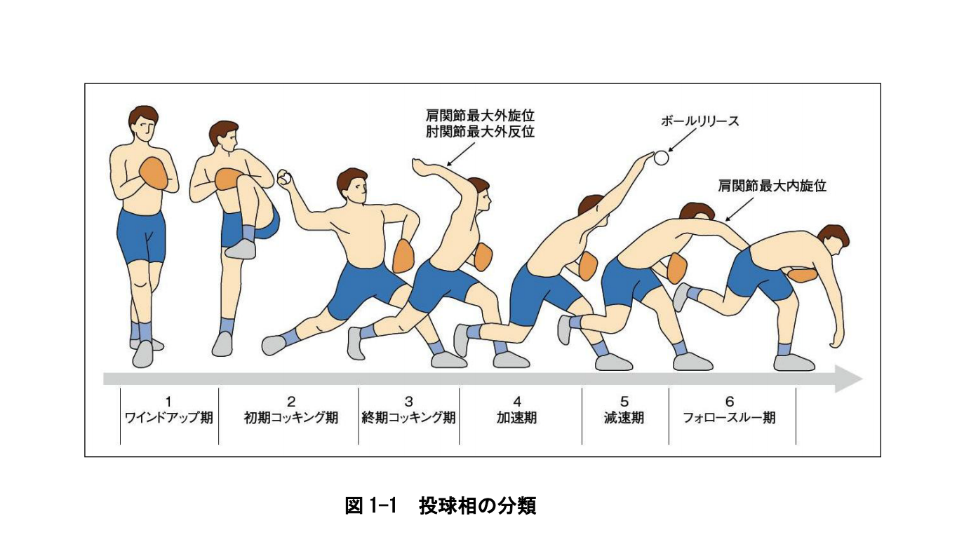 相肩