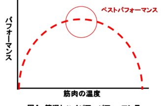 図A　筋温