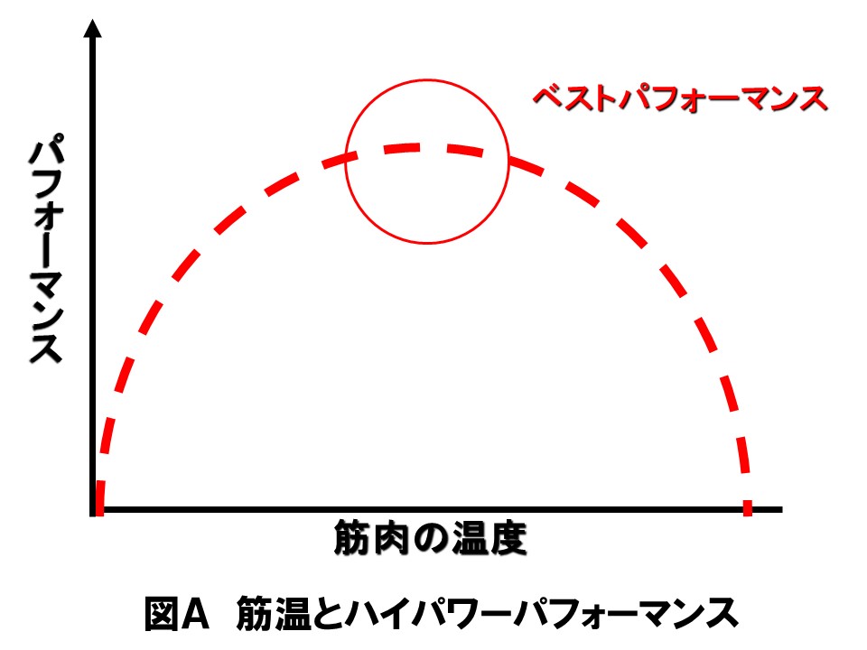 図A　筋温