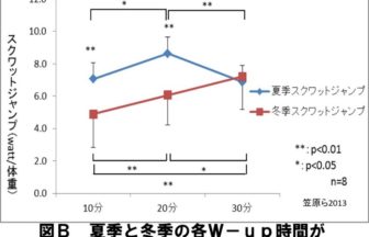 夏と冬