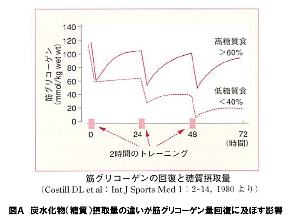 筋グリコーゲン