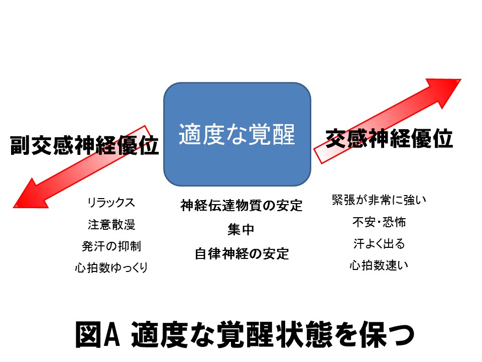 図A　覚醒状態