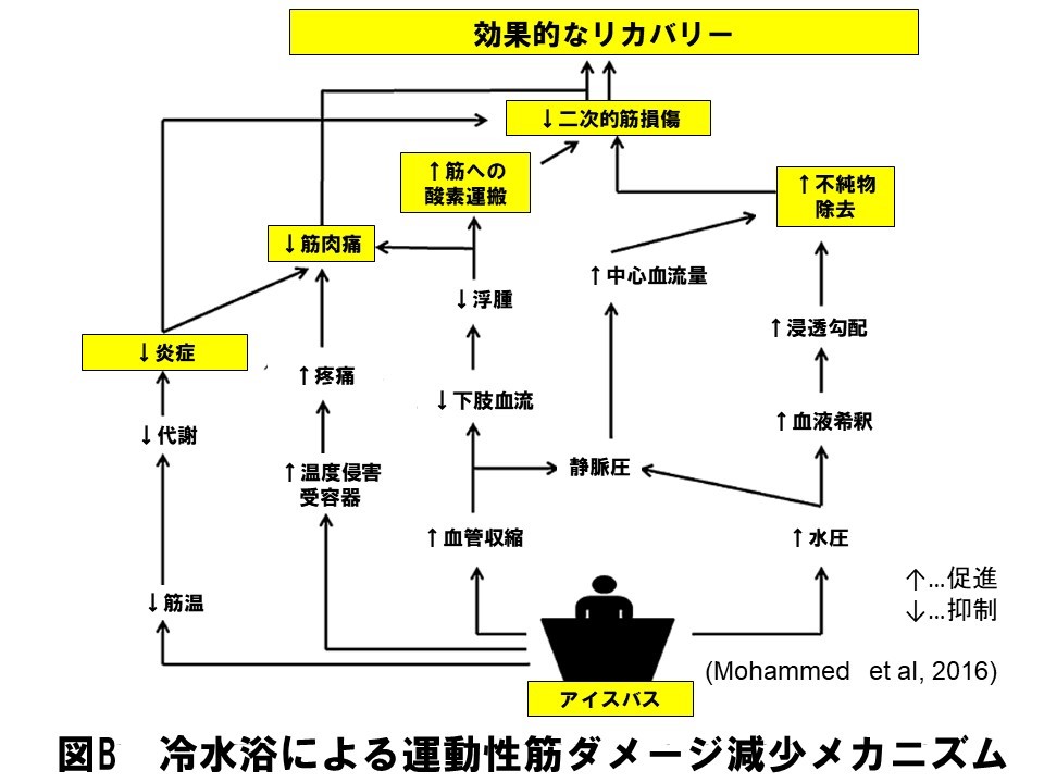 冷水浴