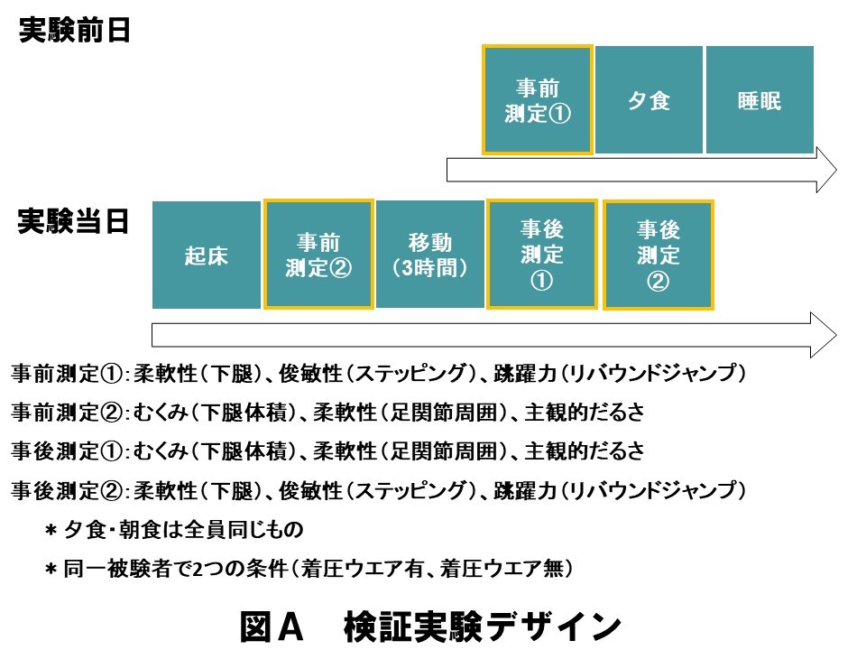 検証実験デザイン