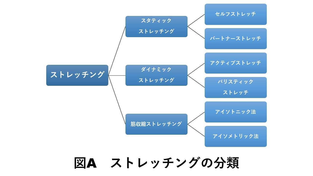 ストレッチングの分類