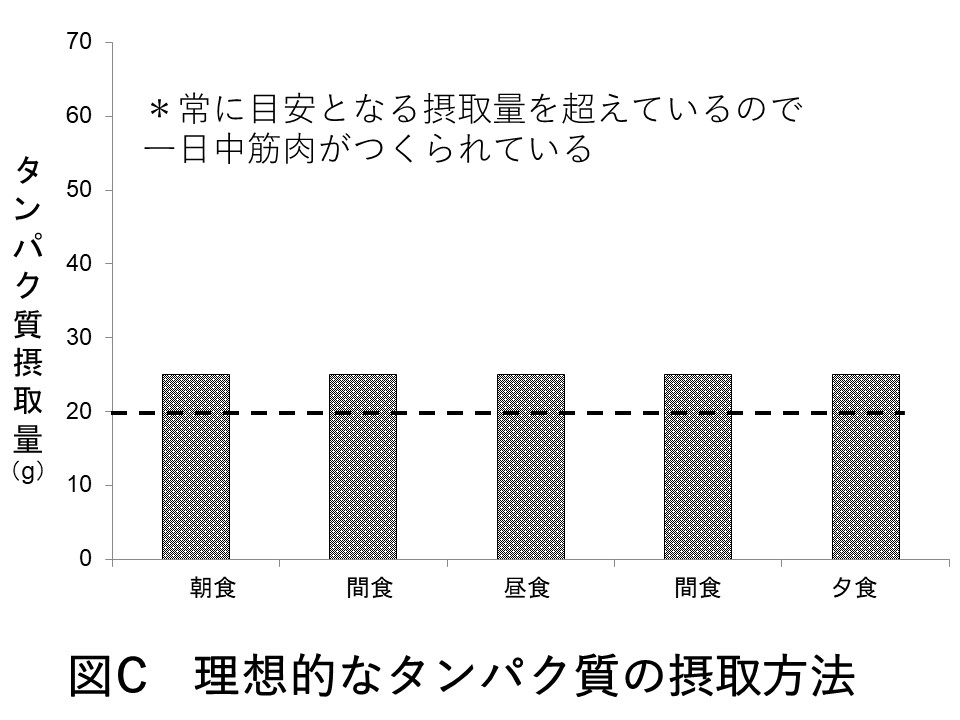 タンパク質良い例