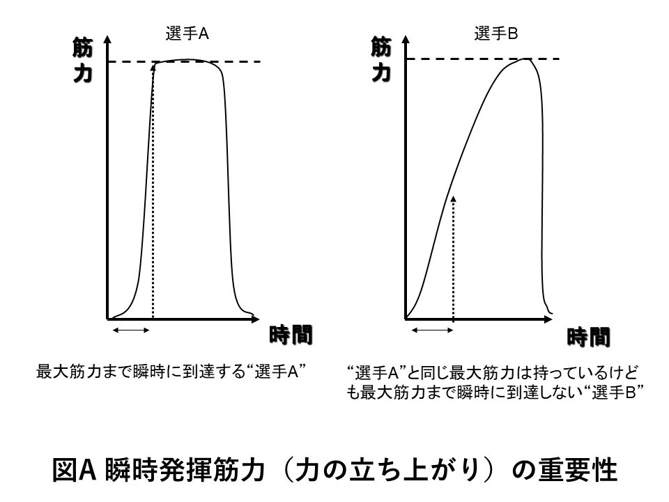 瞬時発揮筋力