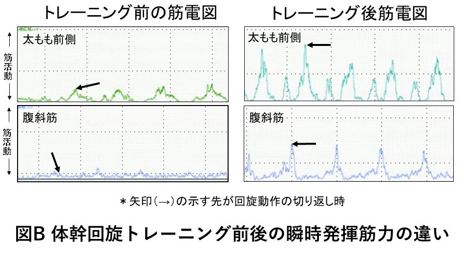 体幹回旋筋力