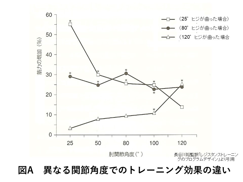 関節角度とトレーニング