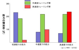 トレーニング速度