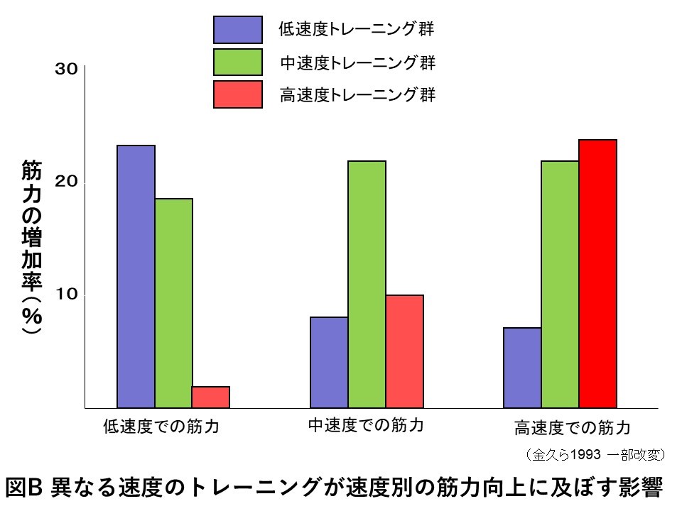 トレーニング速度